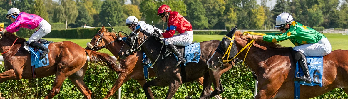 plusieurs jockeys courant sur des chevaux pendant une course