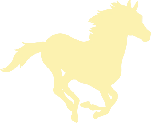 silhouette de cheval en course